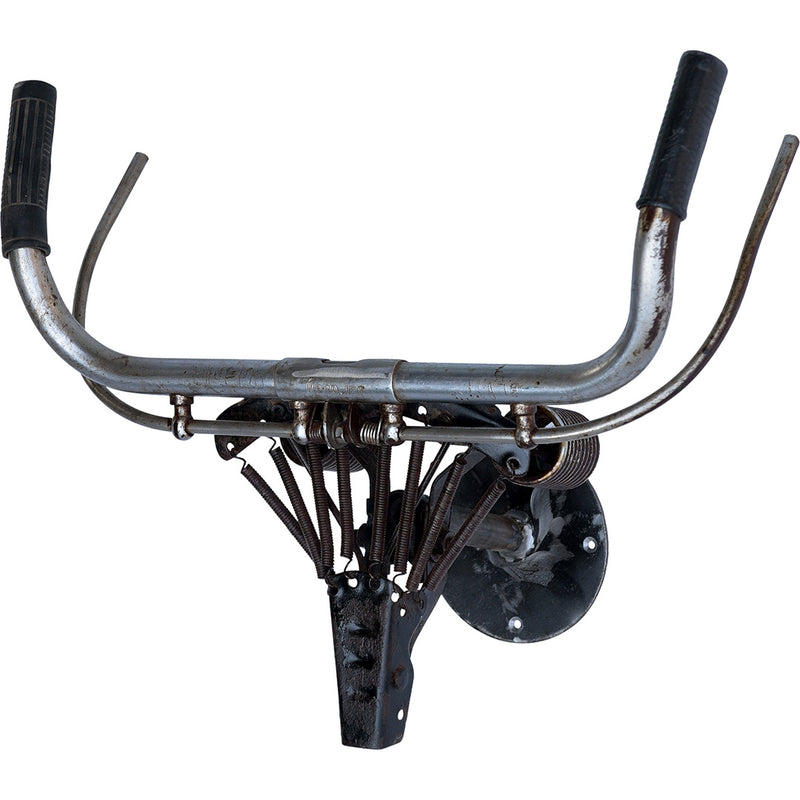 Zabel bicycle antlers