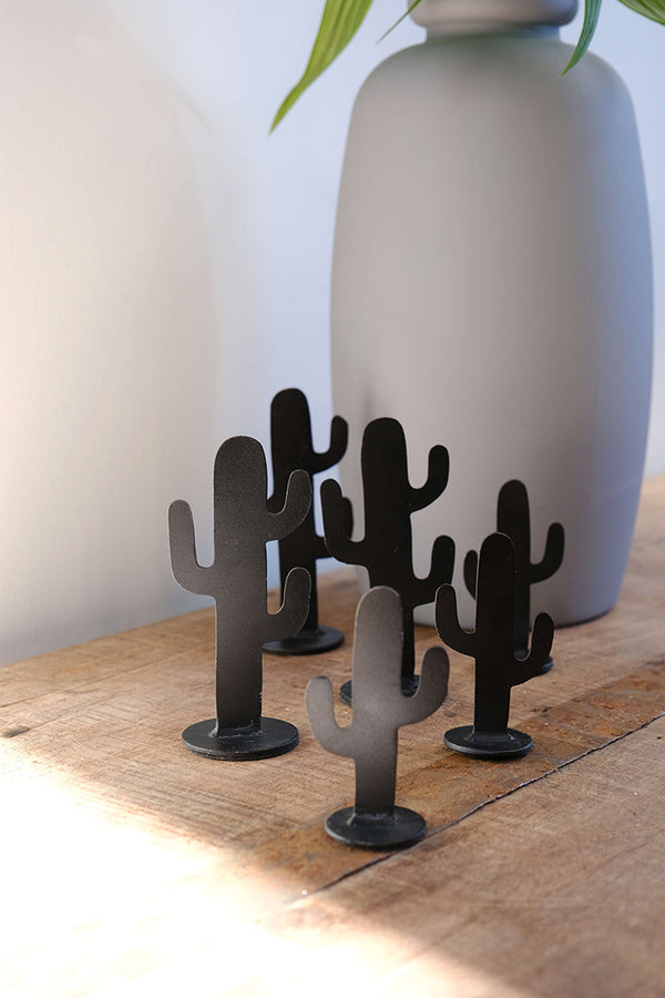 Mini cactus - S