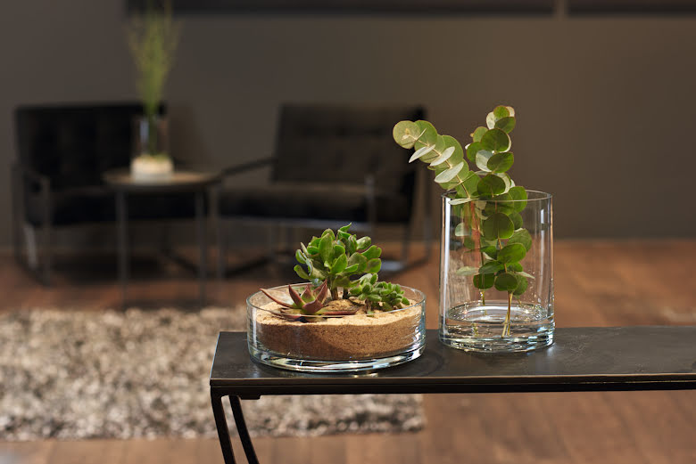 Vas 19 Novara | 018620 | Svetrend